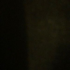 Meet your Posher, Ebony